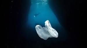 Palung puerto rico ini adalah palung yang sedang di perbatasan. Mencemaskan Kini Laut Terdalam Di Dunia Pun Mulai Dihuni Plastik Klik Hijau