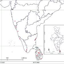 Image result for Empogona cacondensis