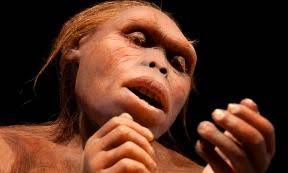 The Death of Lucy: Has a 3.2 Million-Year-Old Mystery Finally Been Solved? 