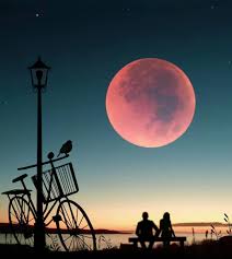 Bazen Hissedersin Bu Bilmekten Ote Bir Seydir Moon Art Beautiful Moon Crescent Moon Art
