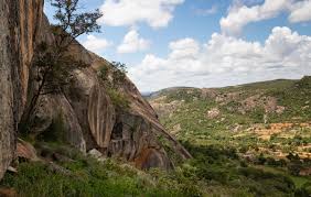 Image result for Pellaea boivinii