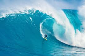 Image result for Surfing
