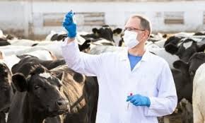 ICA abrió inscripciones para veterinarios y zootecnistas que ...