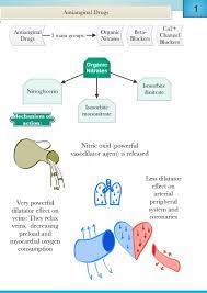 Quick Review Pharmacology Pharmacology Nursing Nursing School Survival