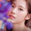 Mina è la più grande voce italiana di sempre. Https Encrypted Tbn0 Gstatic Com Images Q Tbn And9gcsler38kseb34bvs6chwigpj2e Gs3y212e1a7e62yr O Ok7cf Usqp Cau