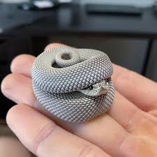 See all of the cutest snakes on our... - The Reptile Report | Facebook