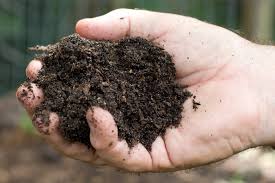 For the convenience of our customers, we can also provide garden compost in bulk bag amounts at affordable prices. Gardening Recycle Leaves And Yard Waste By Composting
