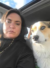 Disapproving corgi lectures owner