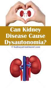 Diabetic Kidney Disease Kidney Disease Recipes Kidney Disease Awareness Kidney Disease