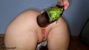 Aubergine anal