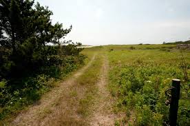 The Vineyard Gazette