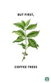 Maybe you would like to learn more about one of these? Starbucks Coffee Tree Coffee Tattoos Coffee Drawing