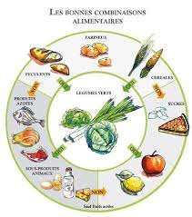Les Bonnes Combinaisons Alimentaires Mincir Maigrir Pertedepoids Poids Complementm Combinaison Alimentaire Aliments Pour Maigrir Association Alimentaire