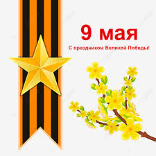 Это уже как символ победы, как знак объединения и солидарности в народе. Rossiya Pobeda Den 9 Maya Nadpisi Georgievskaya Lenta Rossiya Pobeda Den Png I Vektor Png Dlya Besplatnoj Zagruzki