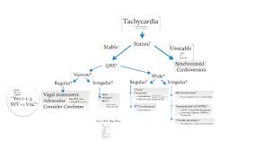 Acls algorithms answers are found in the pocket icu management powered by unbound medicine. Acls Tachycardia Algorithm By Clinton Pong