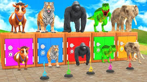 Image result for tbn:ANd9GcTIjeYL4W5xKLDGsYyE5Sd8HQ-eXDrNCN8DSB15OyJIRBatuPGGnK5Zww