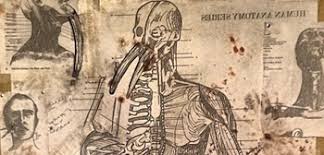 It concerns wallace bryton (justin long), a podcaster who goes to canada in … A24 And Demarest Films To Distribute Kevin Smith S Tusk In 2014 Firstshowing Net