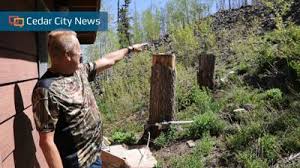 I wanted to tell the world': After 5 years, man who started massive Brian  Head Fire shares story