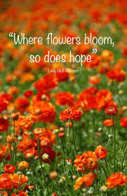 We did not find results for: Where Flowers Bloom So Does Hope Art Print By Kelly Stiles Wild Flower Quotes Flower Quotes Hope Quotes