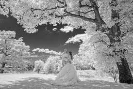 We did not find results for: Tuscany Wedding Photographers