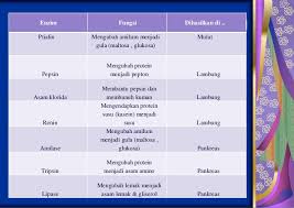 Check spelling or type a new query. Sistem Pencernaan Pada Manusia