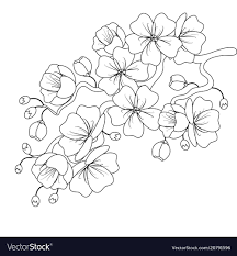 Black And White Cherry Blossom Clip Art Black And White Sketch Of A Cherry Blossom Branch Vector Image On Vectorstock Cherry Blossom Wall Art Cherry Blossom Drawing Cherry Blossoms Illustration