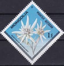 Stamp Leontopodium Ochroleucum Mongolia Flowers Mi Mn 1214 Yt Mn 1011 Sellos Mongolia