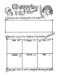 Science Assessment Activities Level 4 Inquiry Process Skills Science Assessments Science Process Skills Science Activities