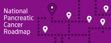 (photo by scott barbour/getty images) Spotlight On Pancreatic Cancer Gives Hope To People Diagnosed And Their Families Cancer Australia