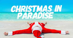 Image result for christmas paradise