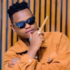 Bruce Melody Songs MP3 Download, New Songs & Albums