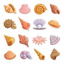 Shell has a variety of scholarships available for students pursuing stem degrees at shell 2 and 4 year partner institutions. Free Sea Shell Vectors 4 000 Images In Ai Eps Format