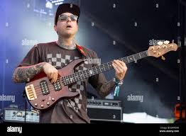 Dover, Deleware, USA. 20th June, 2015. Bassist DAVID FORAL of Dirty Heads  performs live