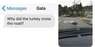 Including the classic why did the chicken cross the road joke. Why Did The Turkey Cross The Road The Poke