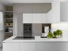 High Gloss And Matte Lacquered Kitchen Cabinet Doors Gallery Kitchen Fittings Kitchen Layout Fitted Kitchen Designs