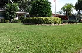 Maybe you would like to learn more about one of these? Todd S Total Lawn Care 12901 Mia Cir Largo Fl 33774 Yp Com