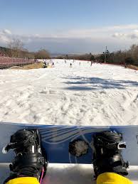 Snowboarding In Japan At Snowtown Yeti By Leslie Tran Medium