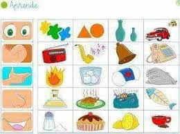 Planea incluir vocales interactivas para niños preescolar como decoración en el salón. Pin De Concepcion Castillo Garcia En To Swma Moy O Eaytos Moy Oikogeneia Los Sentidos Para Ninos Actividades 5 Sentidos Organos De Los Sentidos