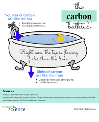 Minnesota's forests are abundant with carbon. What Are Carbon Offsets Let S Talk Science