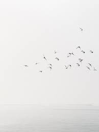 Black And White Magazine Aesthetic Il Mare Cereal Magazine White Photography White Aesthetic