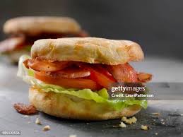 Image result for tbn:PrtsmamH2gogrM::www.designcommandcenter.com/photography/ClubSandwich.jpg