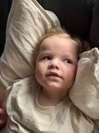 The Sunday Mail Transurban Bridge to Brisbane 2025