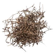 Image result for Oldenlandia cana