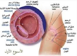 Pin On موضوع يهمك
