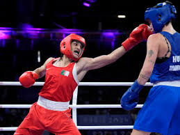 Algerian boxer Imane Khelif clinches Olympic medal after gender outcry - OPB