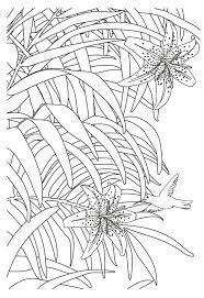 pin on coloring pages coloriage arbre