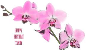Full service florist and wedding shop.fresh and silk florals, wedding rentals, unique, vintage and budget minded. Tammy Flowers Flores Happy Birthday Youtube