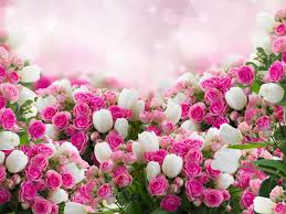 All pictures in full hd specially for desktop pc, android or iphone. Many Flowers White Tulips Pink Rose Wallpaper Flowers Wallpaper Better