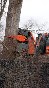 Get in, new grapple saw crane just dropped #fallbach