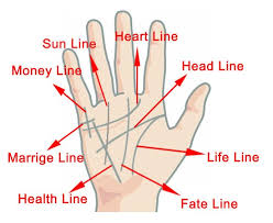 Palm Reading For Children The Heart Line In My Community Connecting Australia